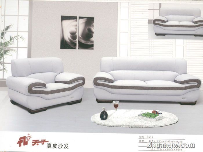 天子沙發家具圖片(九) 匠心工藝，盡顯客廳典雅風范